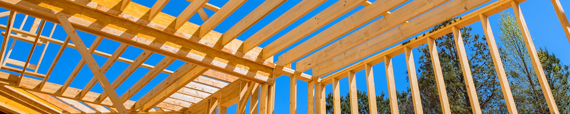 SoftwoodDirect Powered by iWood Timber