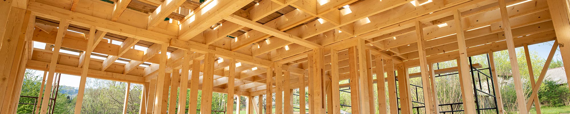 These structural softwoods are all fully treated and provided in finished section sizes and lengths to spec.