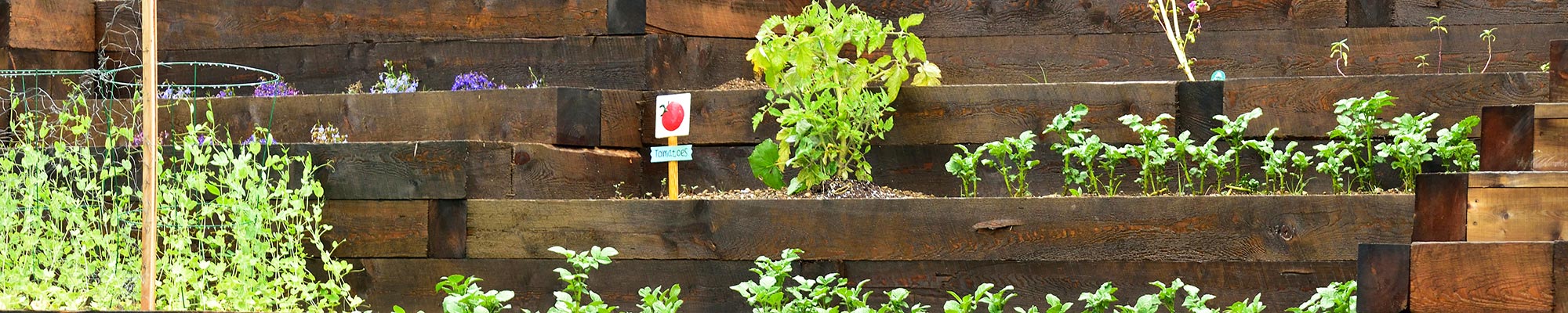 Buy Pressure treated Softwood Sleepers today, ideal for flower beds, retaining walls, border edging and decking sub frames.