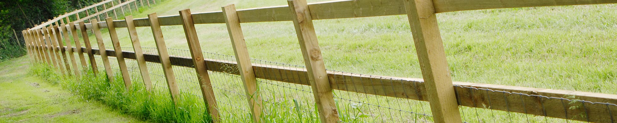 Green Pressure Treated Posts. 3x3's and 4x4s available to buy online